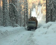 Производство оцилиндрованного бревна в Красноярске